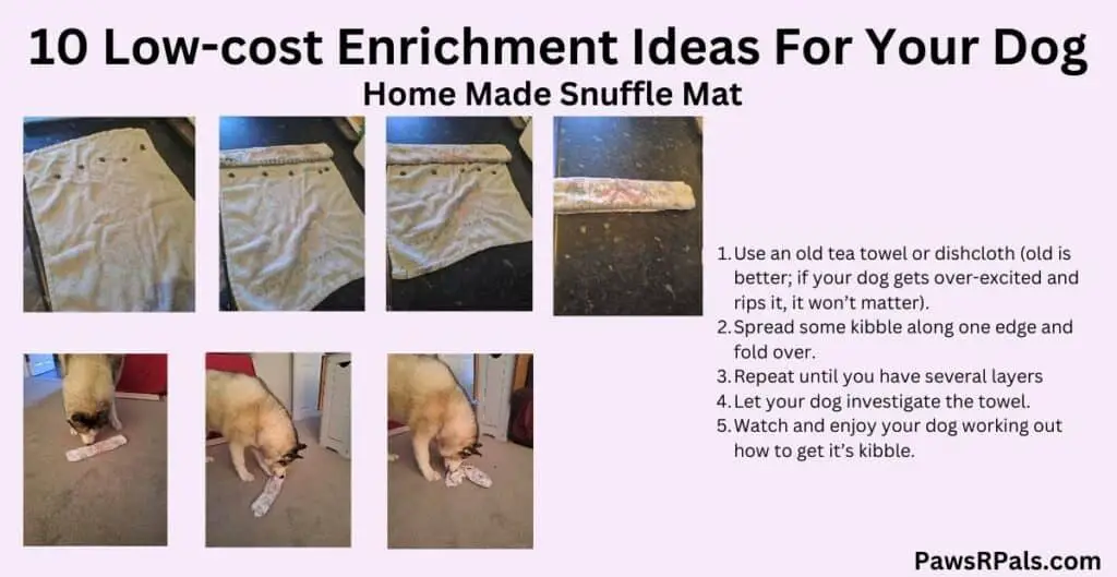 10 low cost enrichment ideas for your dog. Home made snuffle mat. Step by step images, showing a white tea towel, with kibble being folded into it. and Luna the grey and white siberian husky nosing open the towel. Pale pink background.