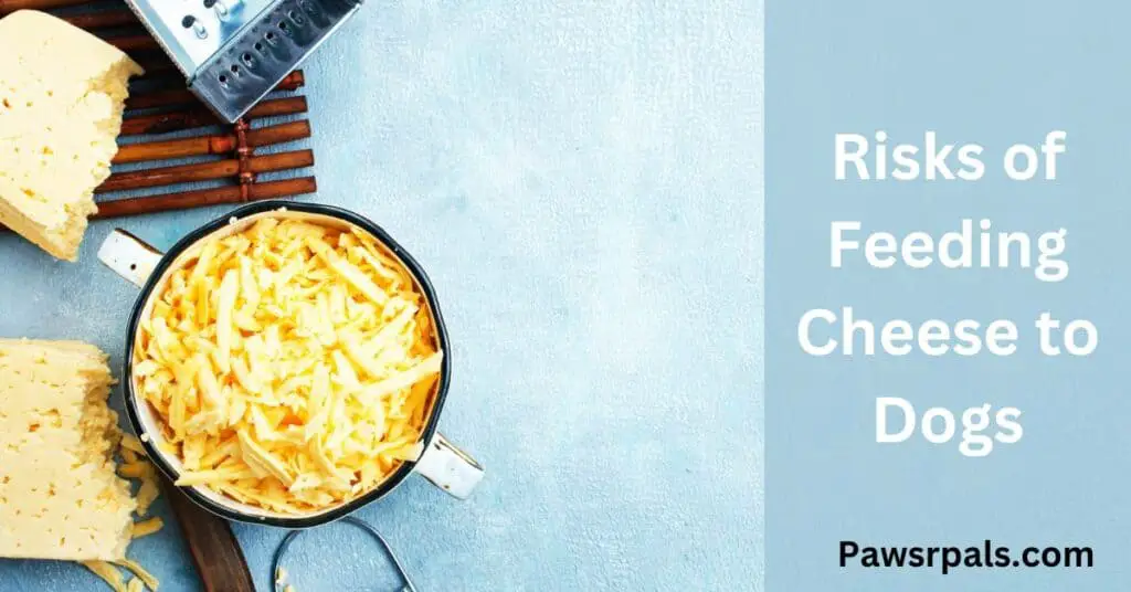Risks of Feeding Cheese to Dogs. Picture of grated cheese in a bowl.
