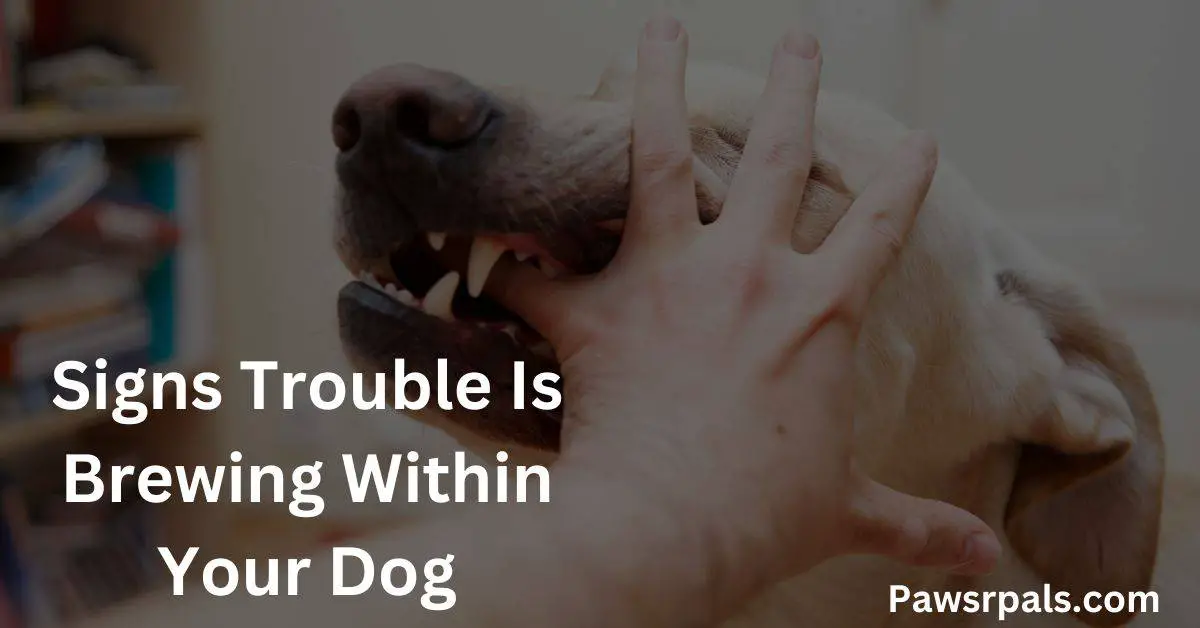 Signs Trouble Is Brewing Within Your Dog, with picture of a dog biting a persons hand.