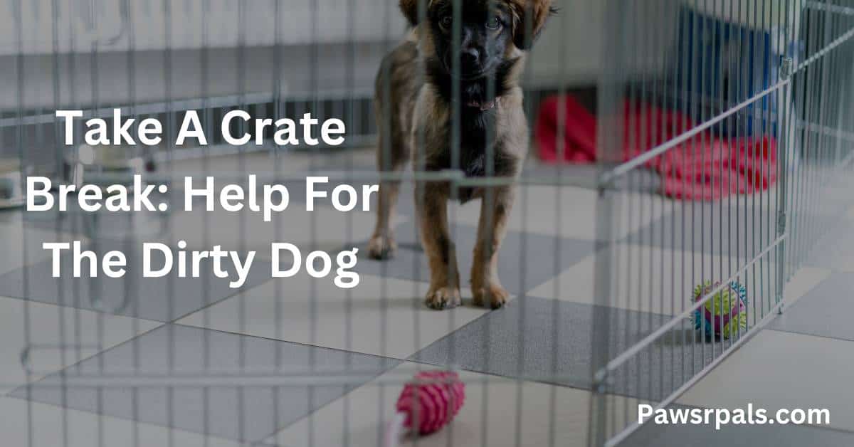 Take a crate break help for the dirty dog. Picture of a dog in a create.