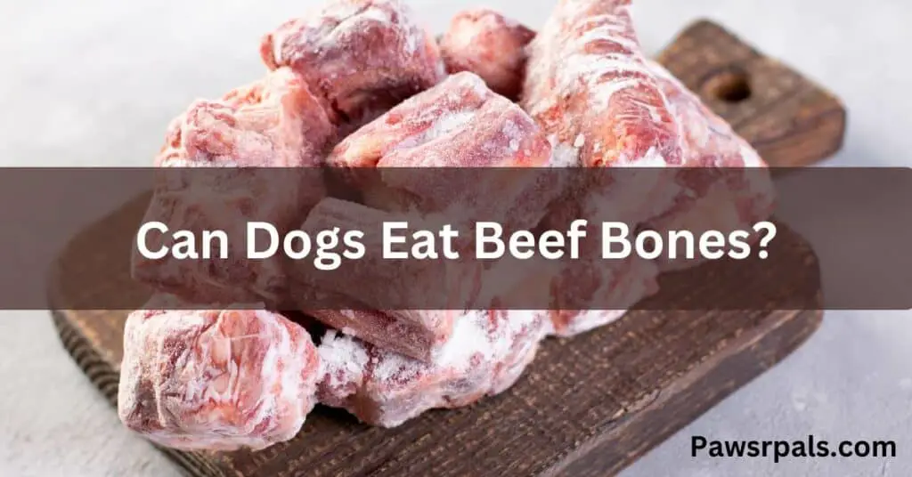 Can Dogs Eat Beef Bones? Image of a pile of beef bones.