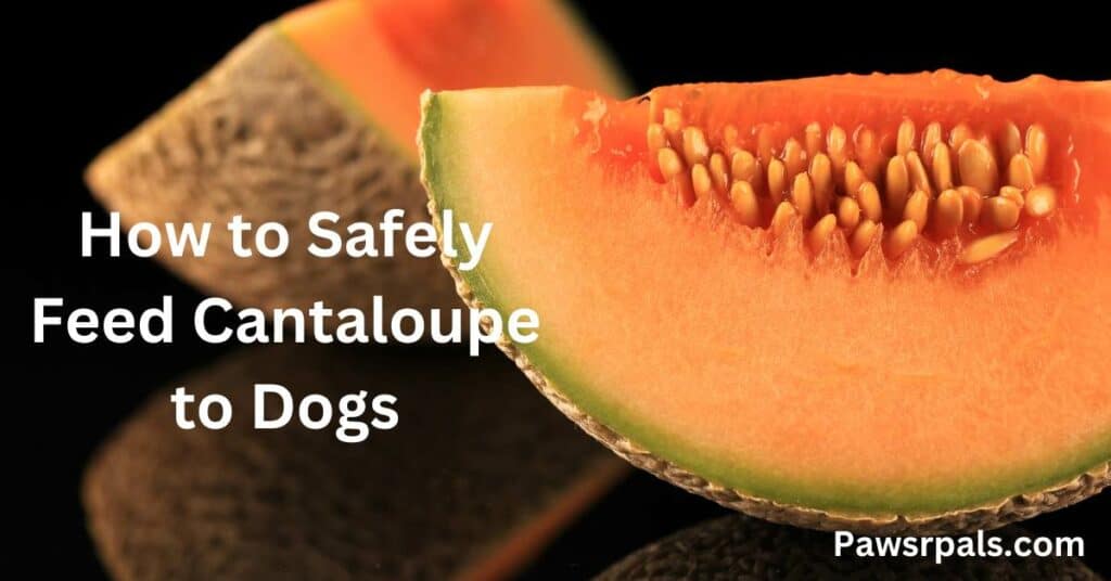 How to Safely Feed Cantaloupe to Dogs. Picture of a cantaloupe cut up.