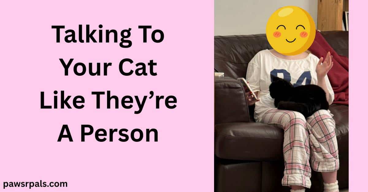 Talking To Your Cat Like They're A Person. Girl sitting face forward on a brown leather sofa, wearing pink and white checked trousers and white numbered t-shirt, holding a phone facing Pickles the black cat curled on girls lap looking at the phone