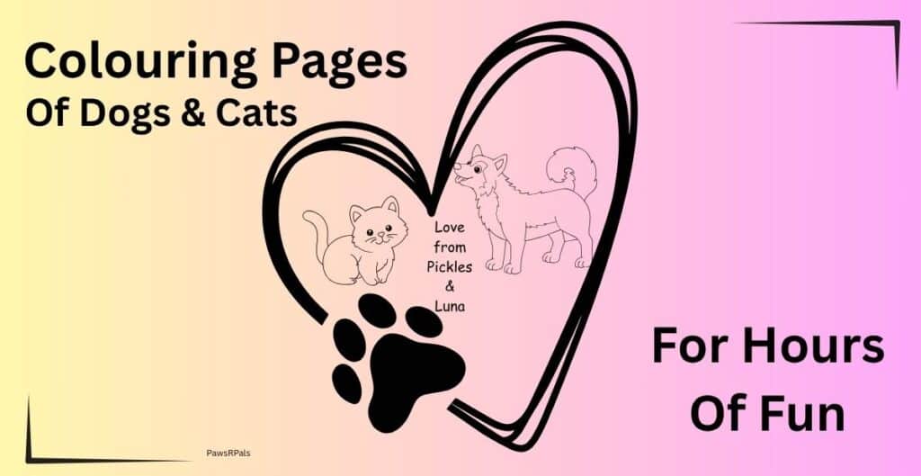 Colouring Pages of Dogs & Cats