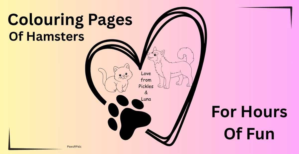 Colouring Pages of Hamsters