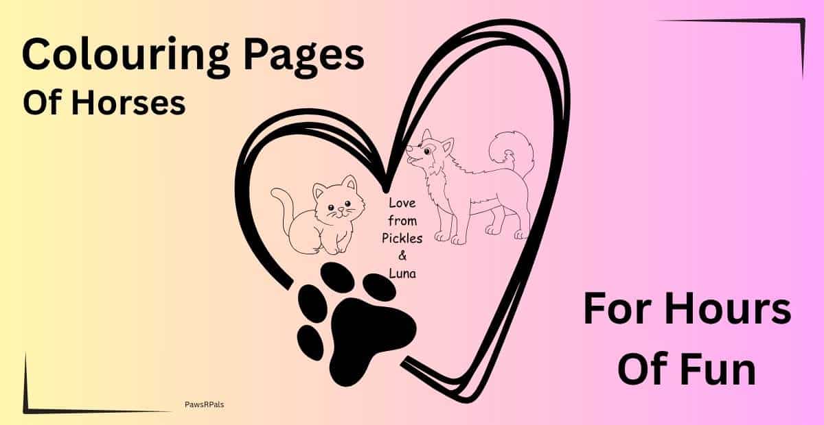 Colouring pages of horses