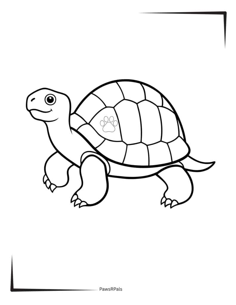 Happy Tortoise Colouring image