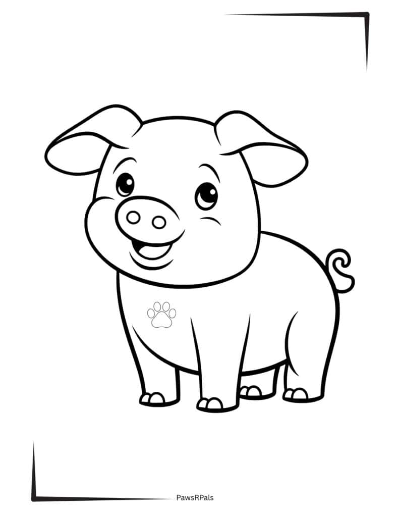 Smiling pig colouring image