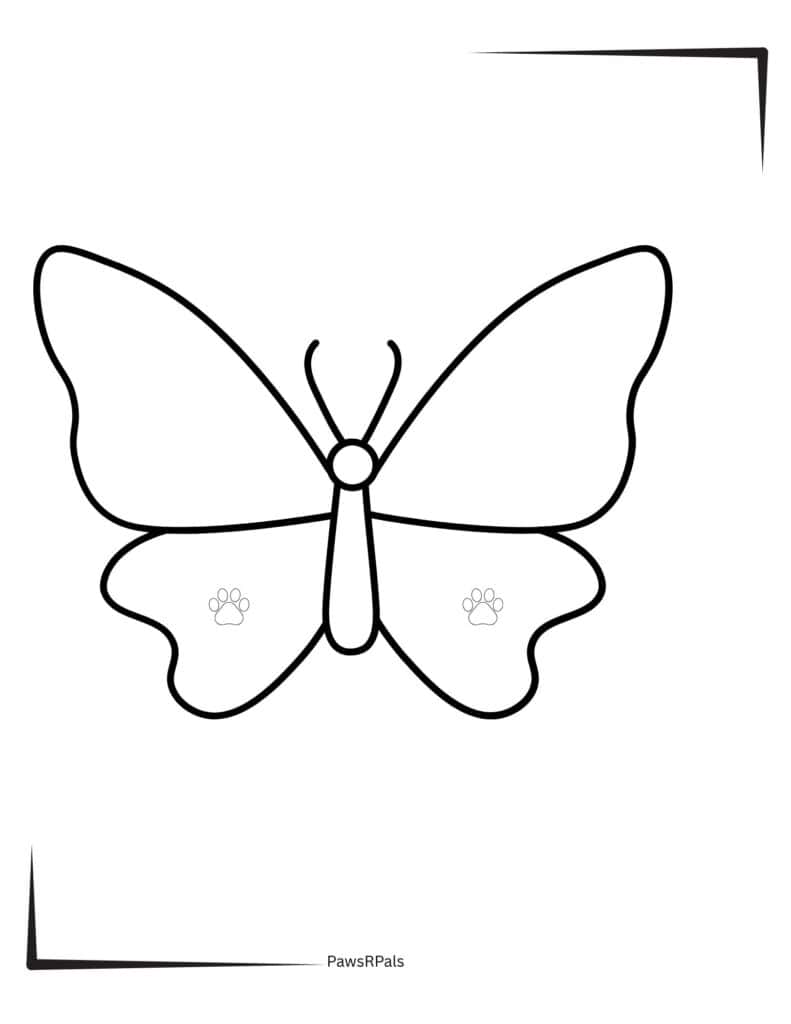 Butterfly colouring image