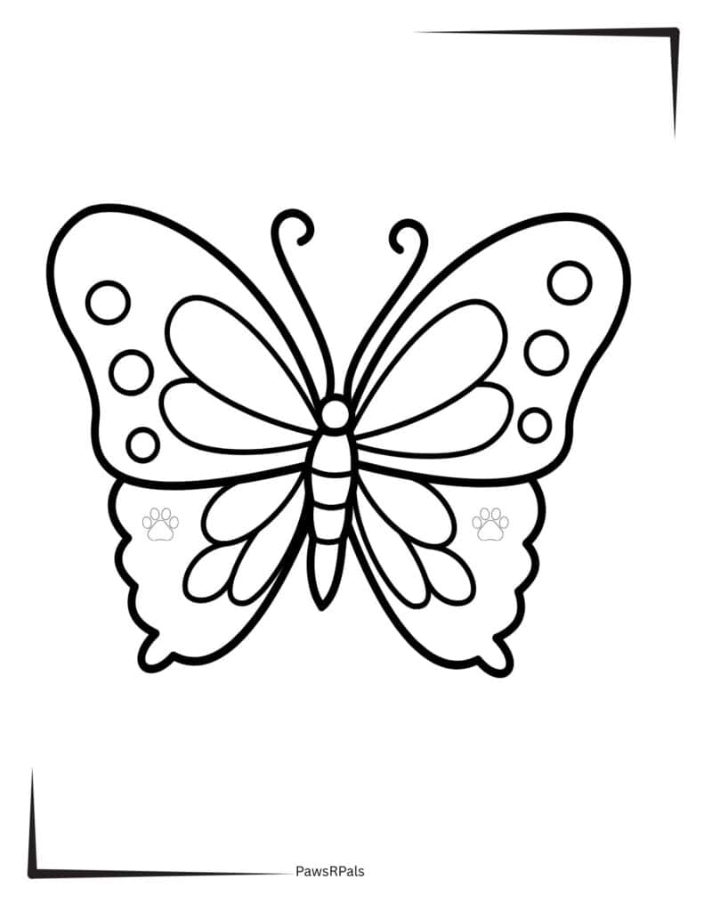 Butterfly with spots colouring image