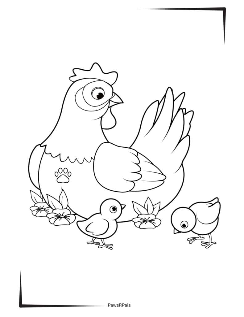 Chicken with chicks colouring image
