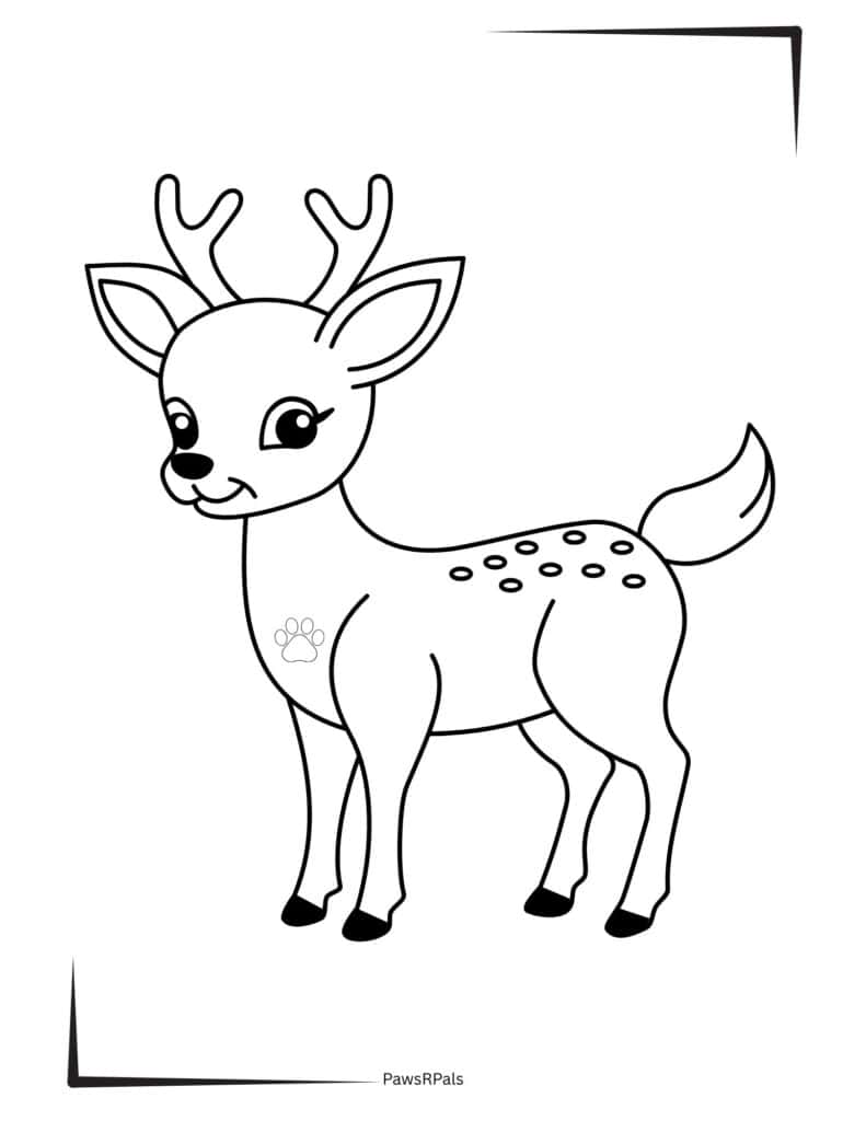 cute deer colouring image
