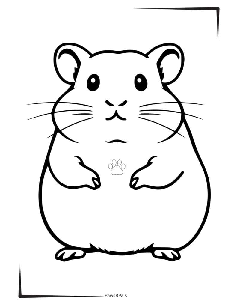 Hamster Colouring Image