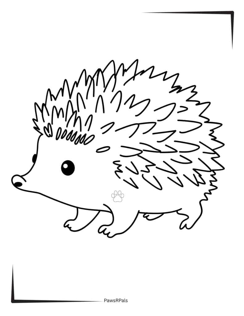 Hedgehog Colouring Outline Image