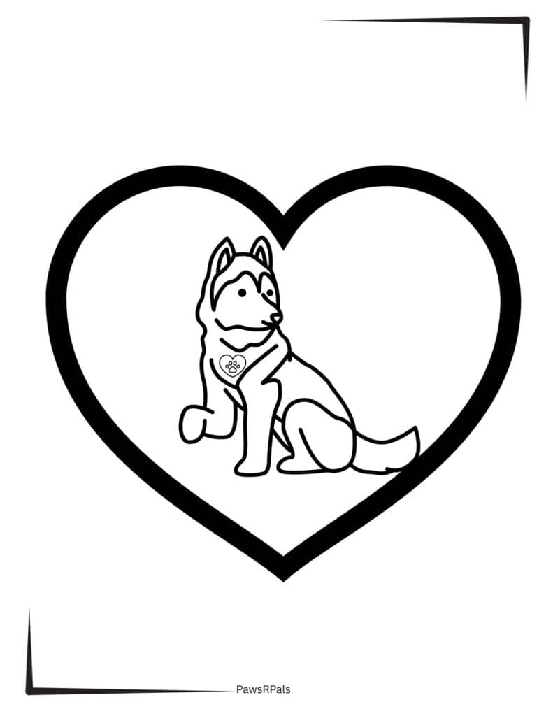 Husky in a heart