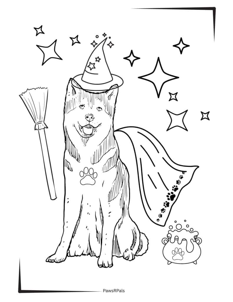 Husky witch halloween colouring image