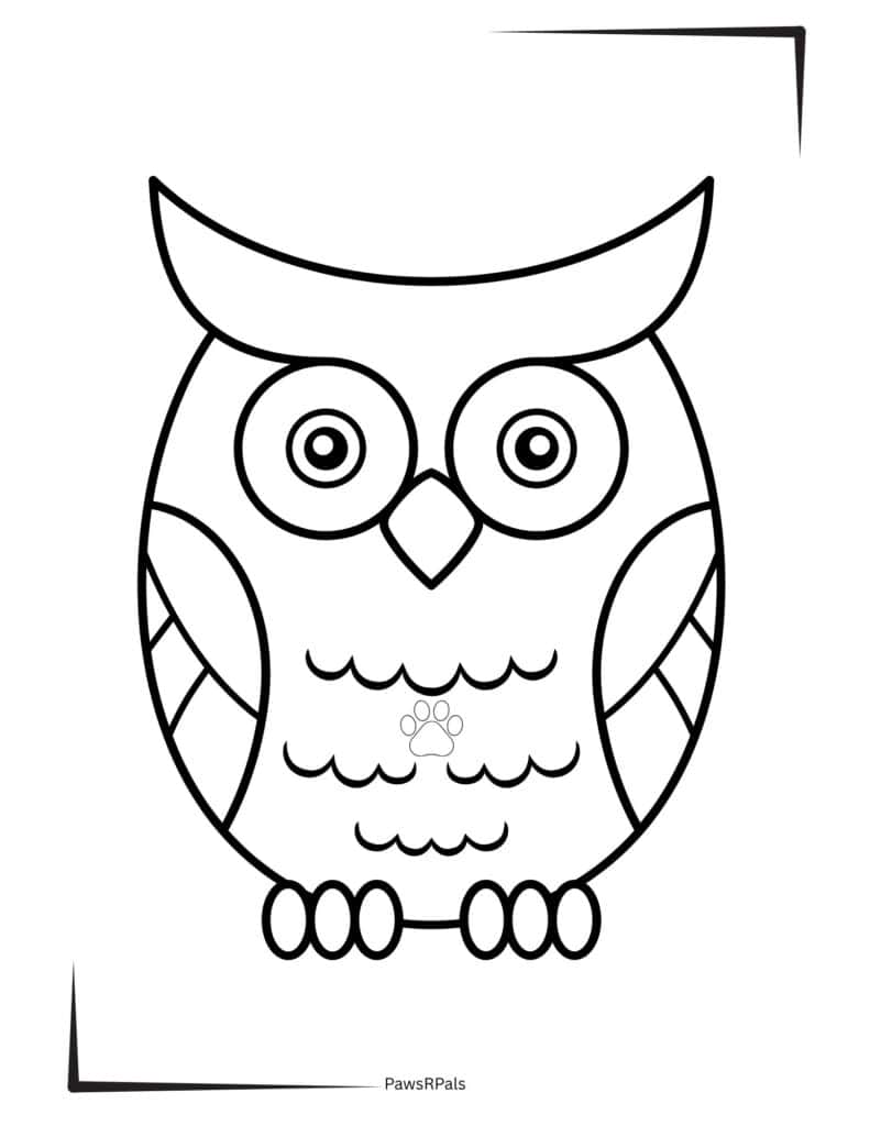 Owl colouring image