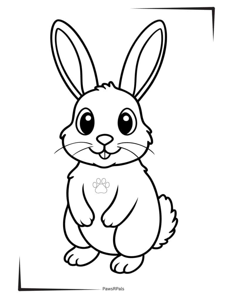 Rabbit Colouring Image