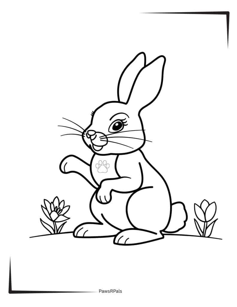 Rabbit with flowers colouring image