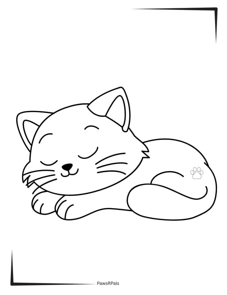 Sleeping kitten colouring page