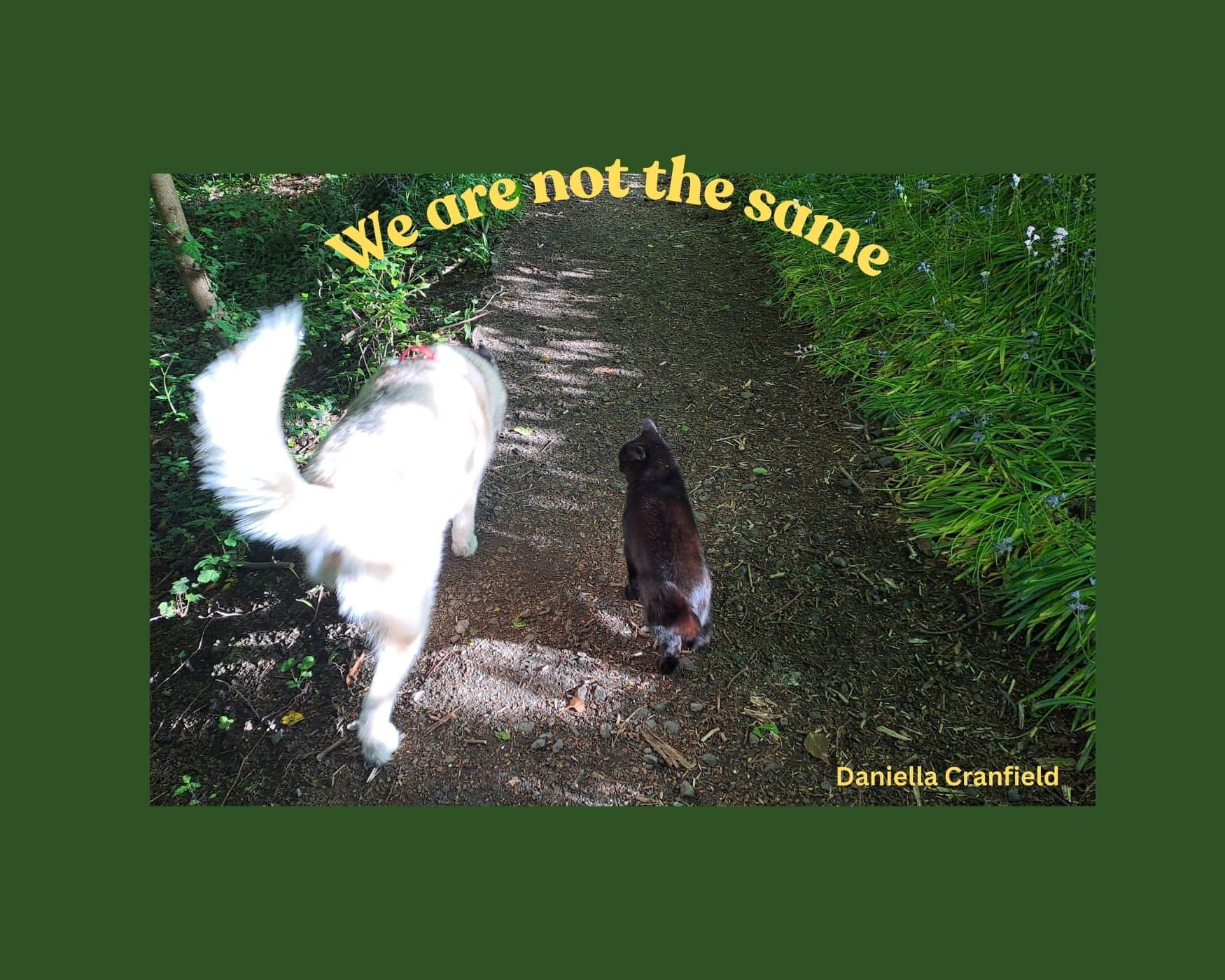 We Are Not The Same book cover